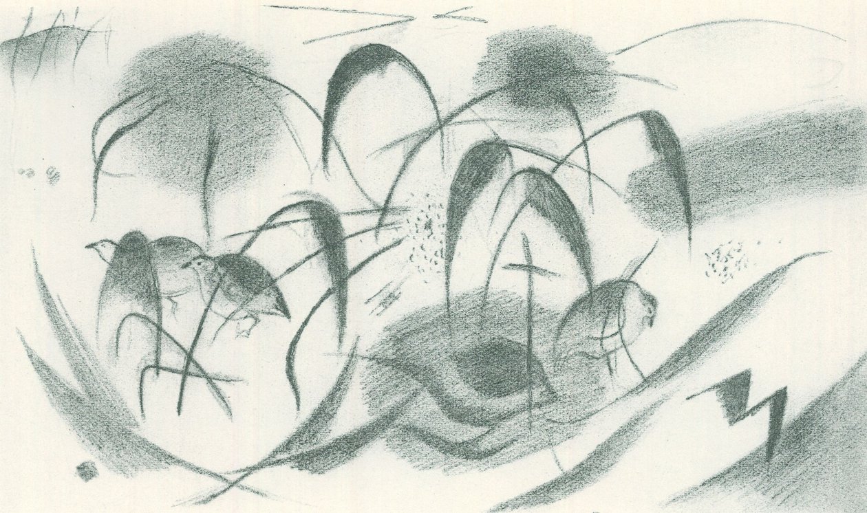  av Franz Marc