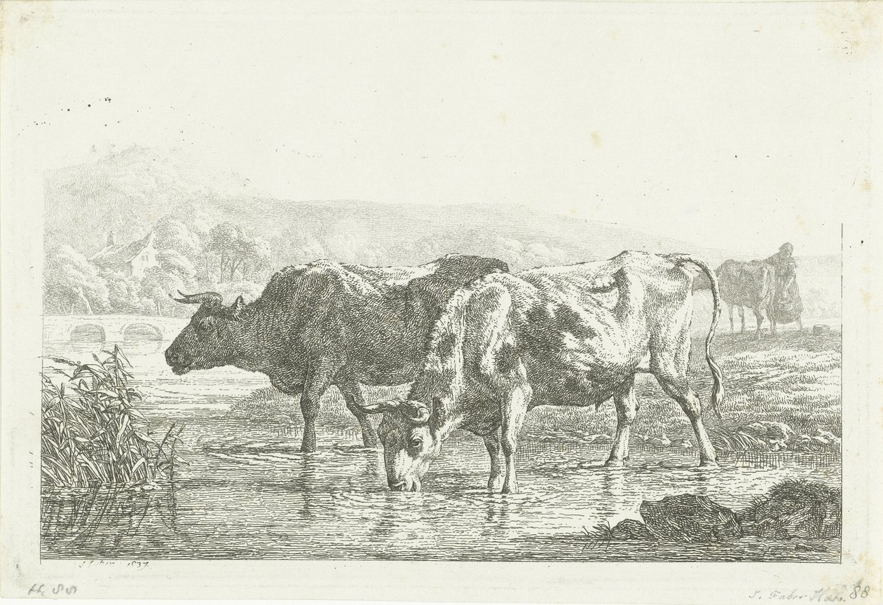 To drikkende kuer av Frédéric Théodore Faber