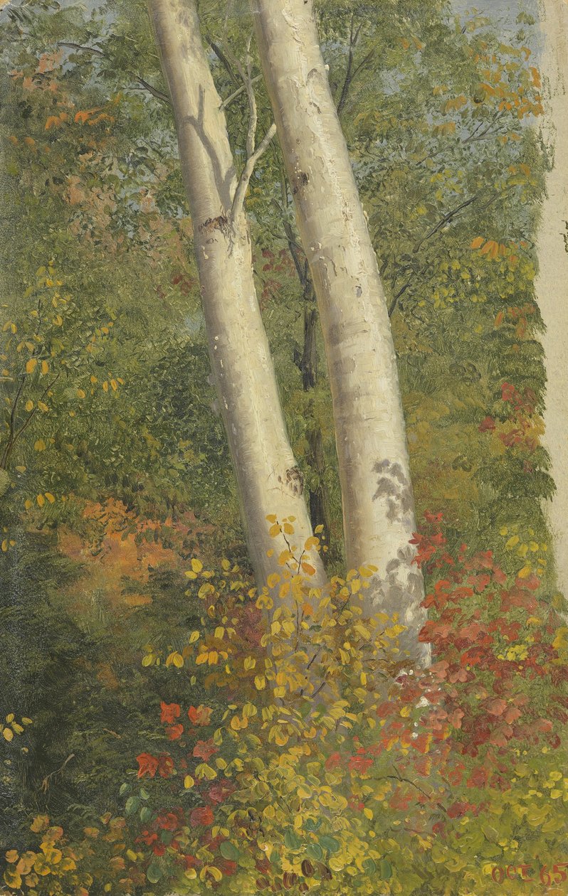 Bjørketrær om høsten av Frederic Edwin Church