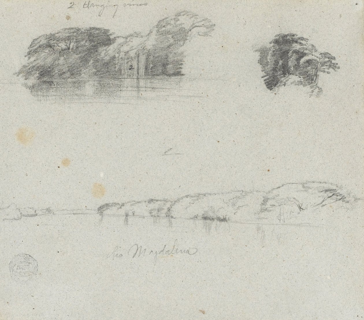 Sketches of Trees, Vines and a Bank of the Rio Magdalena, Colombia av Frederic Edwin Church