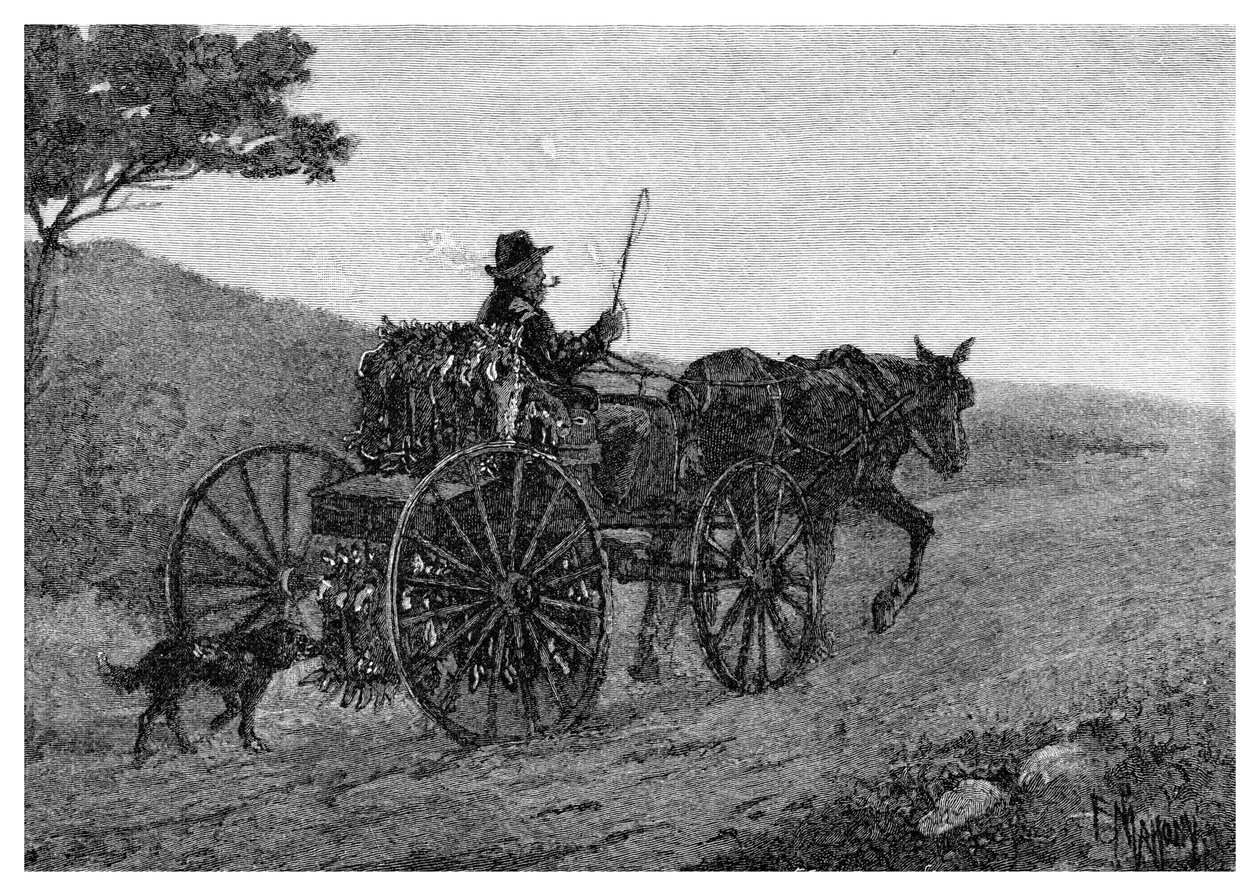 En Colac-kaninfanger, 1886. av Frederic B. Schell