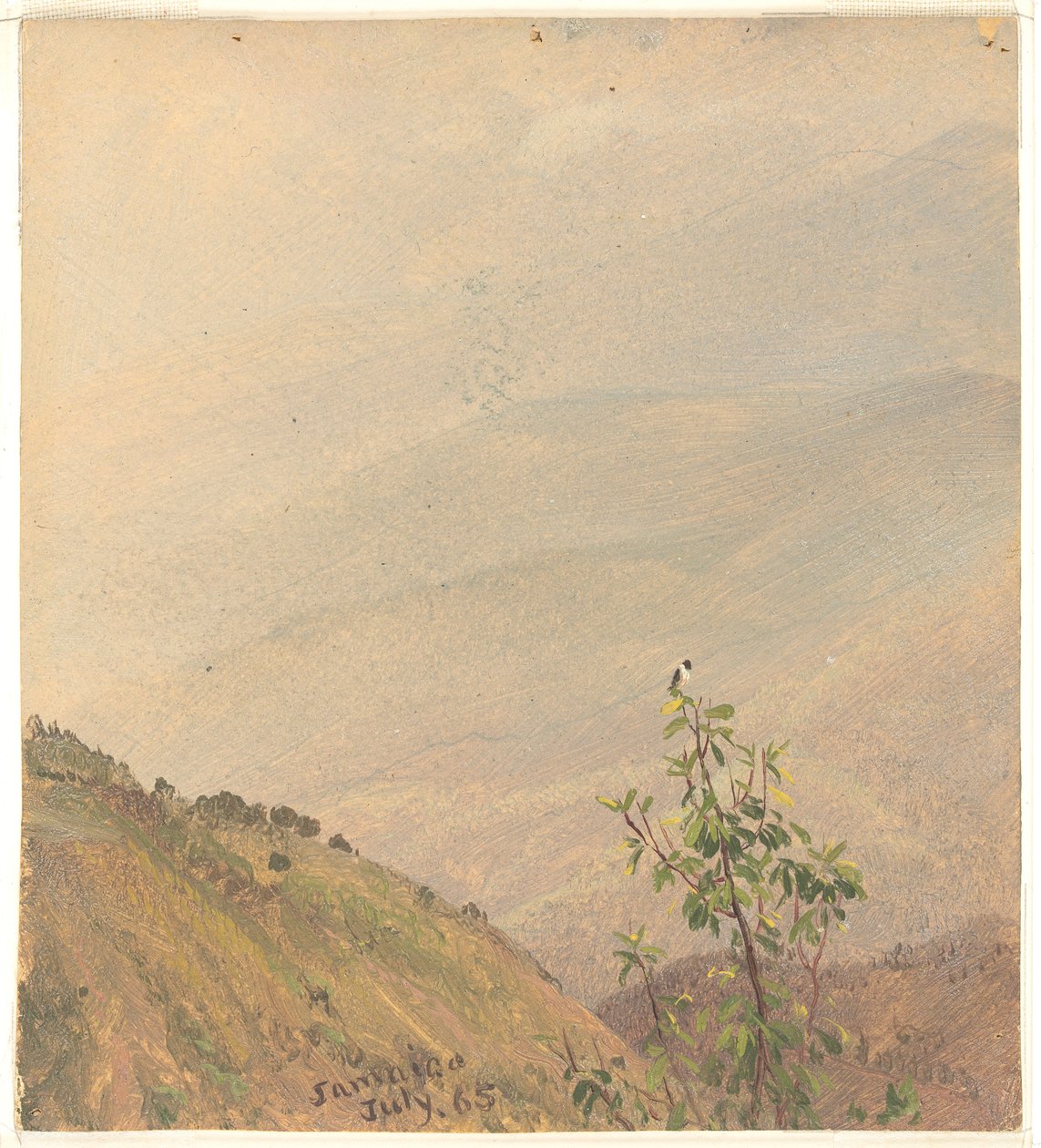 Distant Hills, Jamaica av Frederic Edwin Church