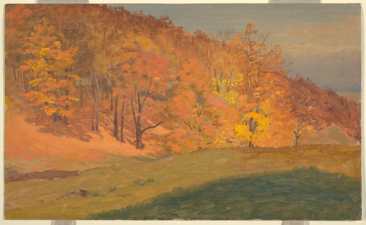  av Frederic Edwin Church