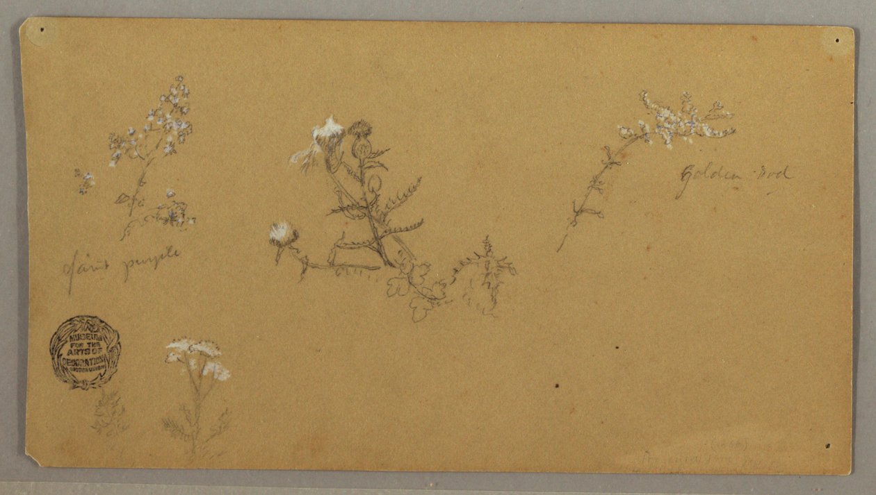 Blomsterplanter av Frederic Edwin Church