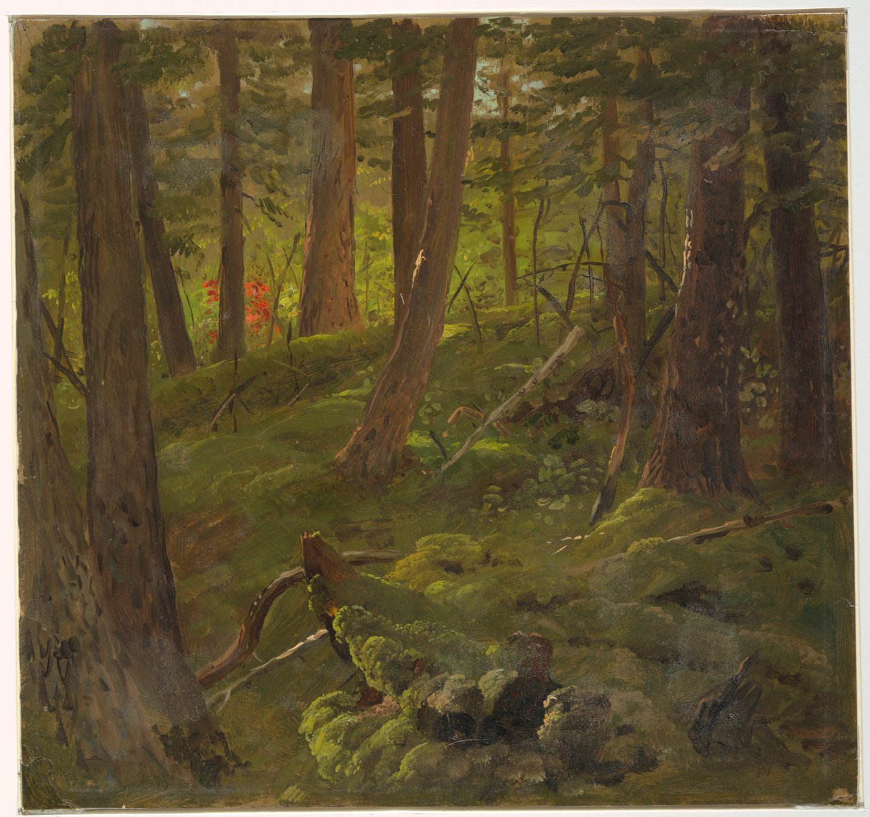 Skog på Jamaica av Frederic Edwin Church