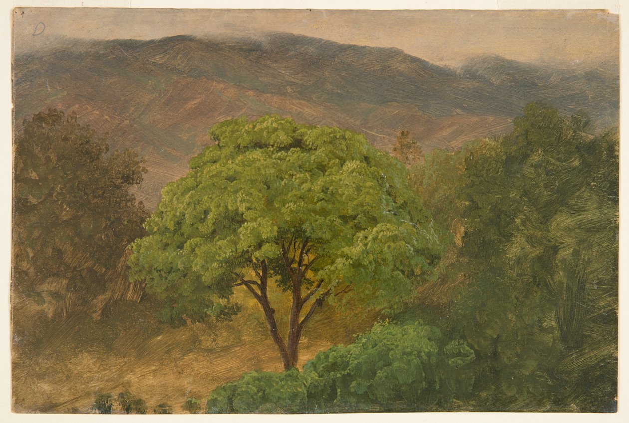 Genip Tree i fjellene, Jamaica av Frederic Edwin Church