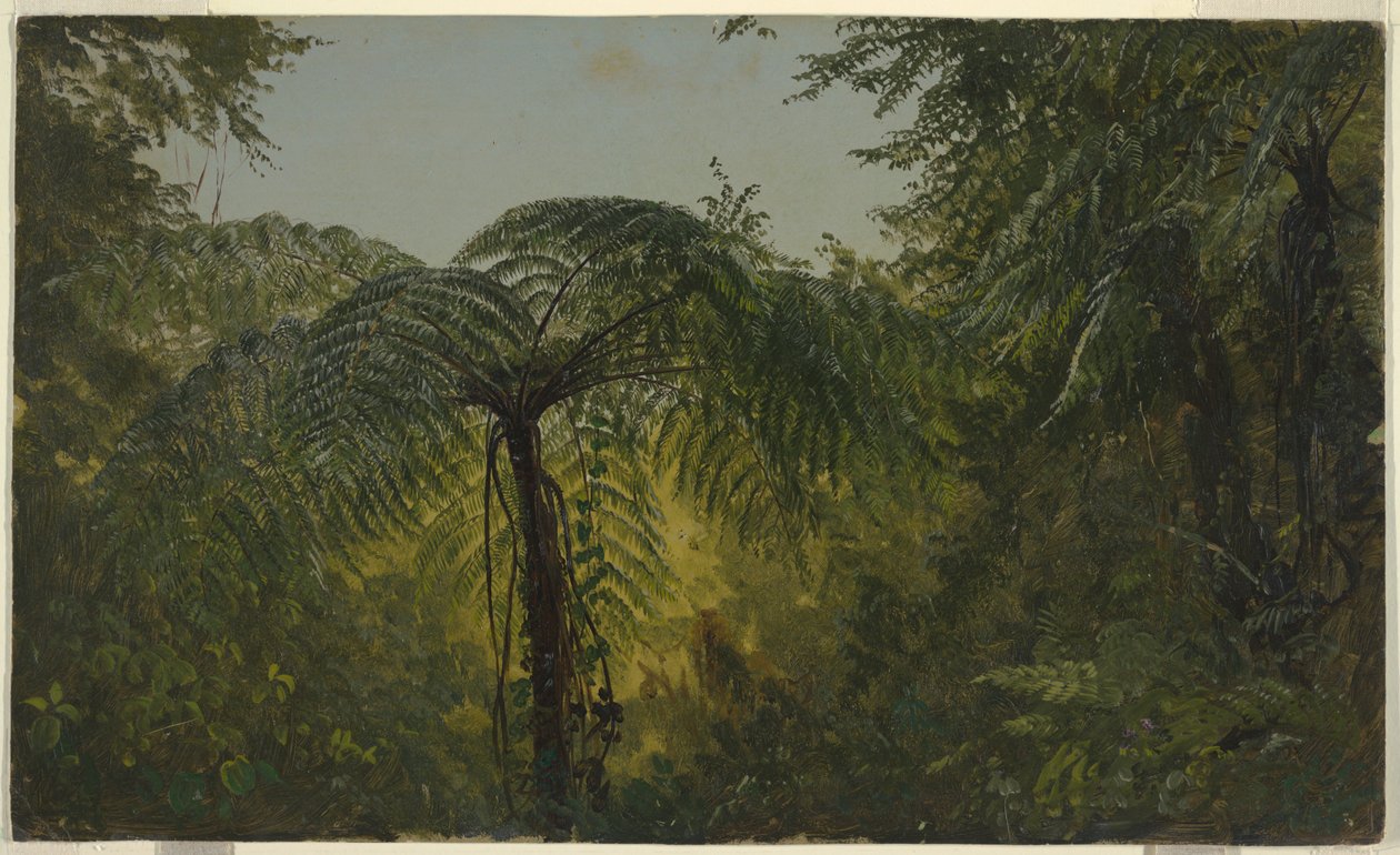 Jungle Foliage, Jamaica av Frederic Edwin Church