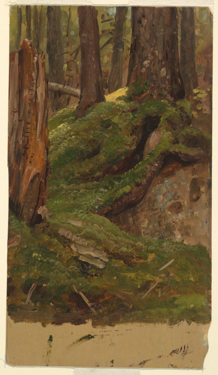 Maine ? skog av Frederic Edwin Church