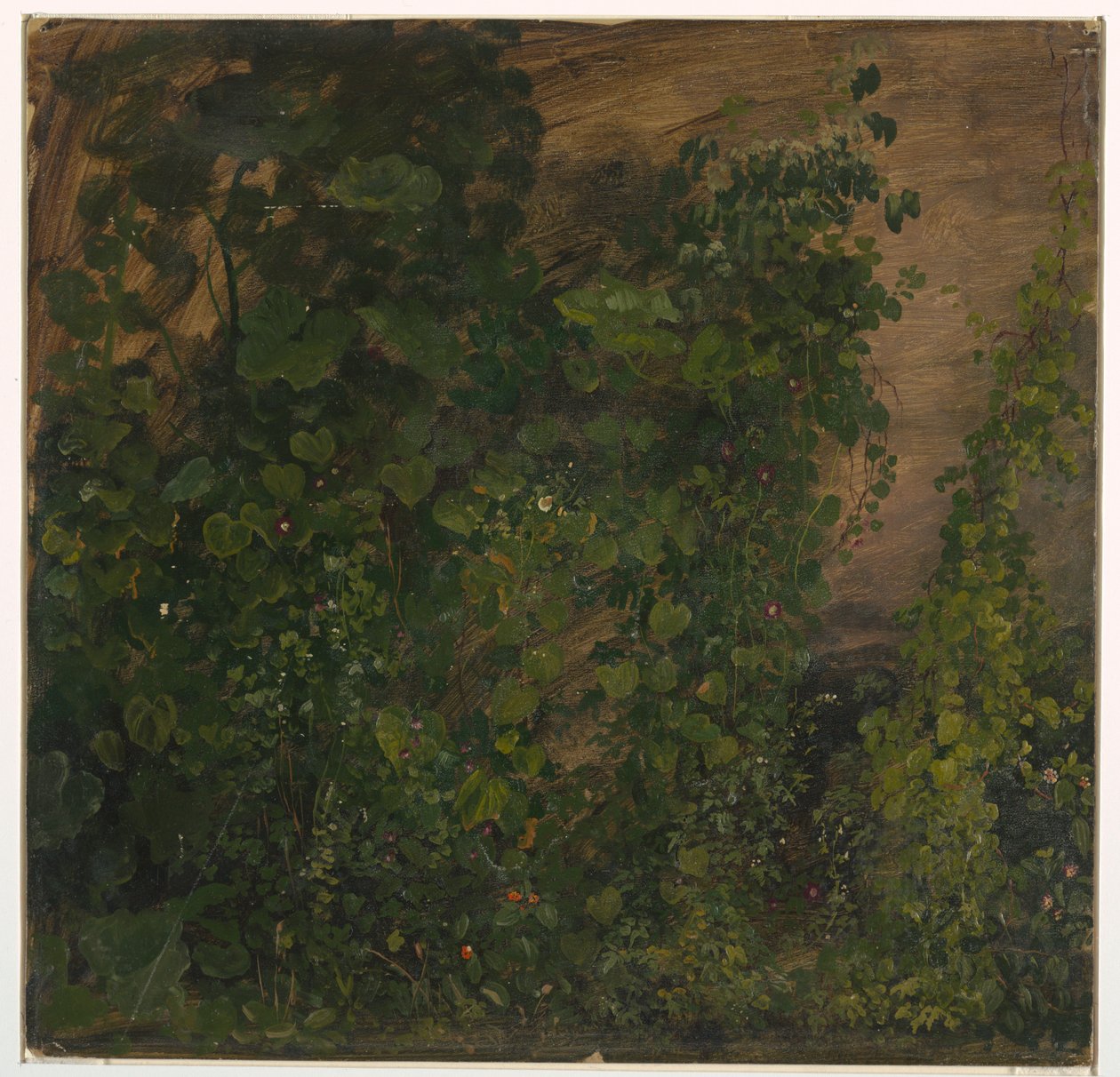 Philodendron Vines, Jamaica av Frederic Edwin Church