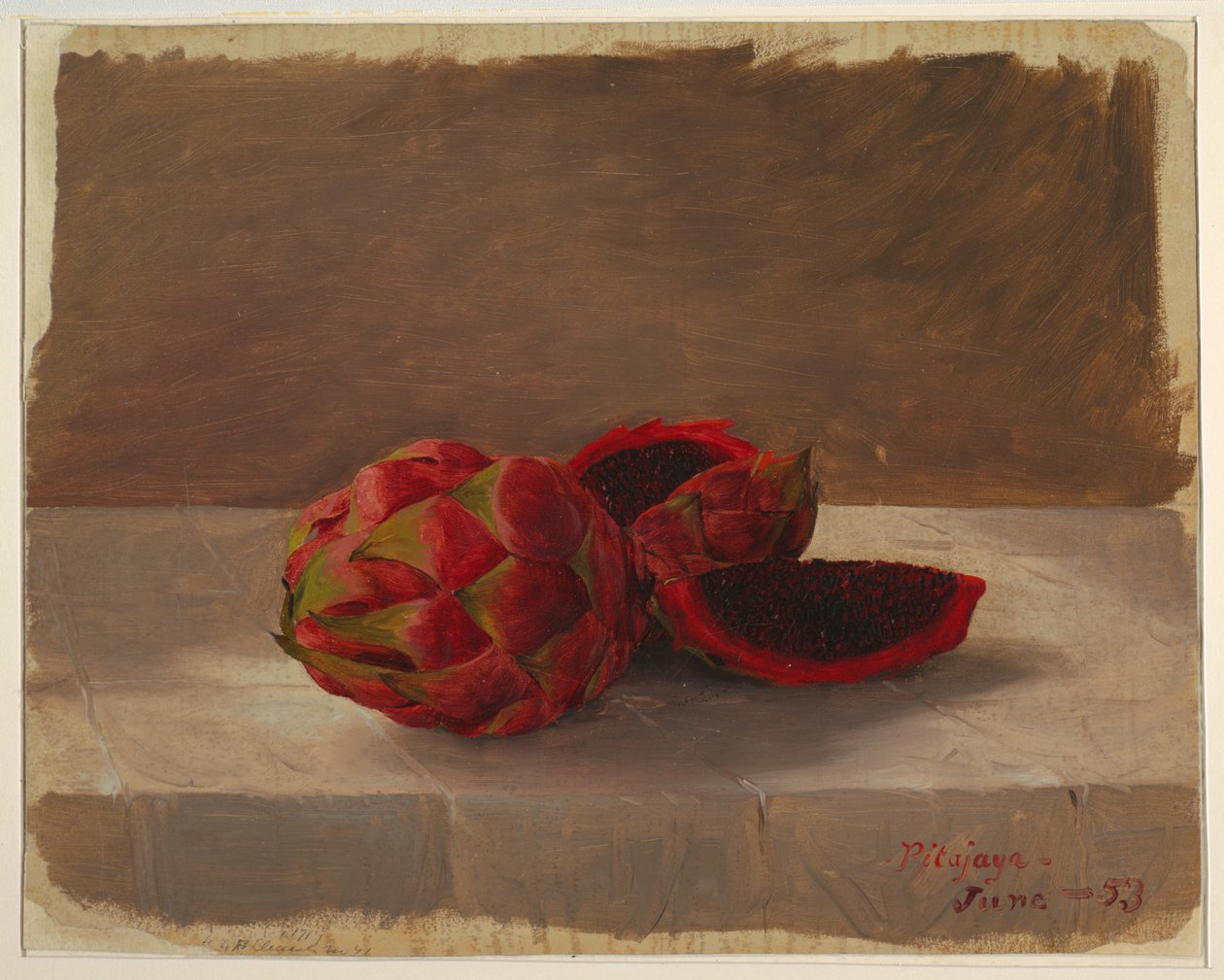 The Pitajaya Fruit, Columbia av Frederic Edwin Church