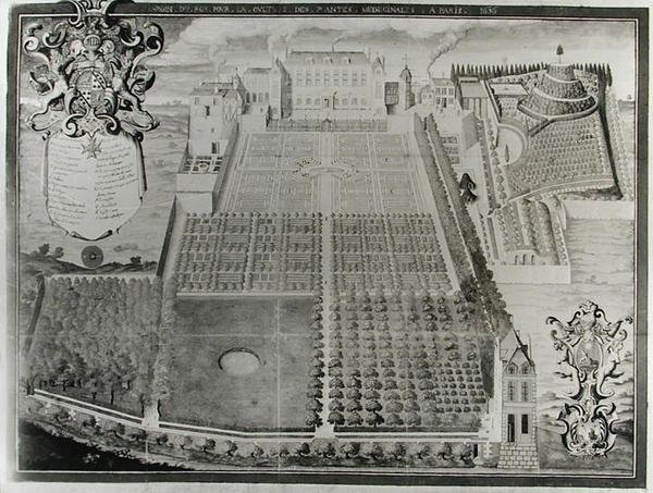 The Kings Medicinal Plant Garden, 1636 av Frederic Scalberge