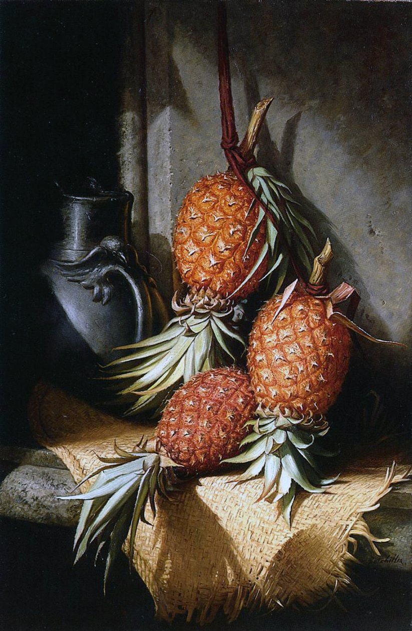 Ananas, ca. 1880 av Frederick S. Batcheller