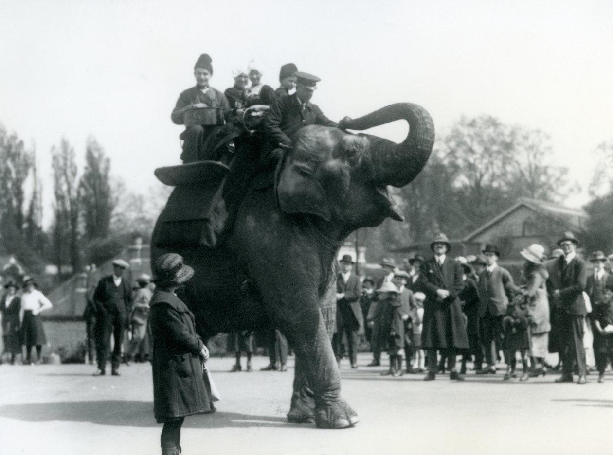 Armenske besøkende rir Indiarani, sett av mengder av tilskuere, London Zoo, mai 1923 (bw-bilde) av Frederick William Bond