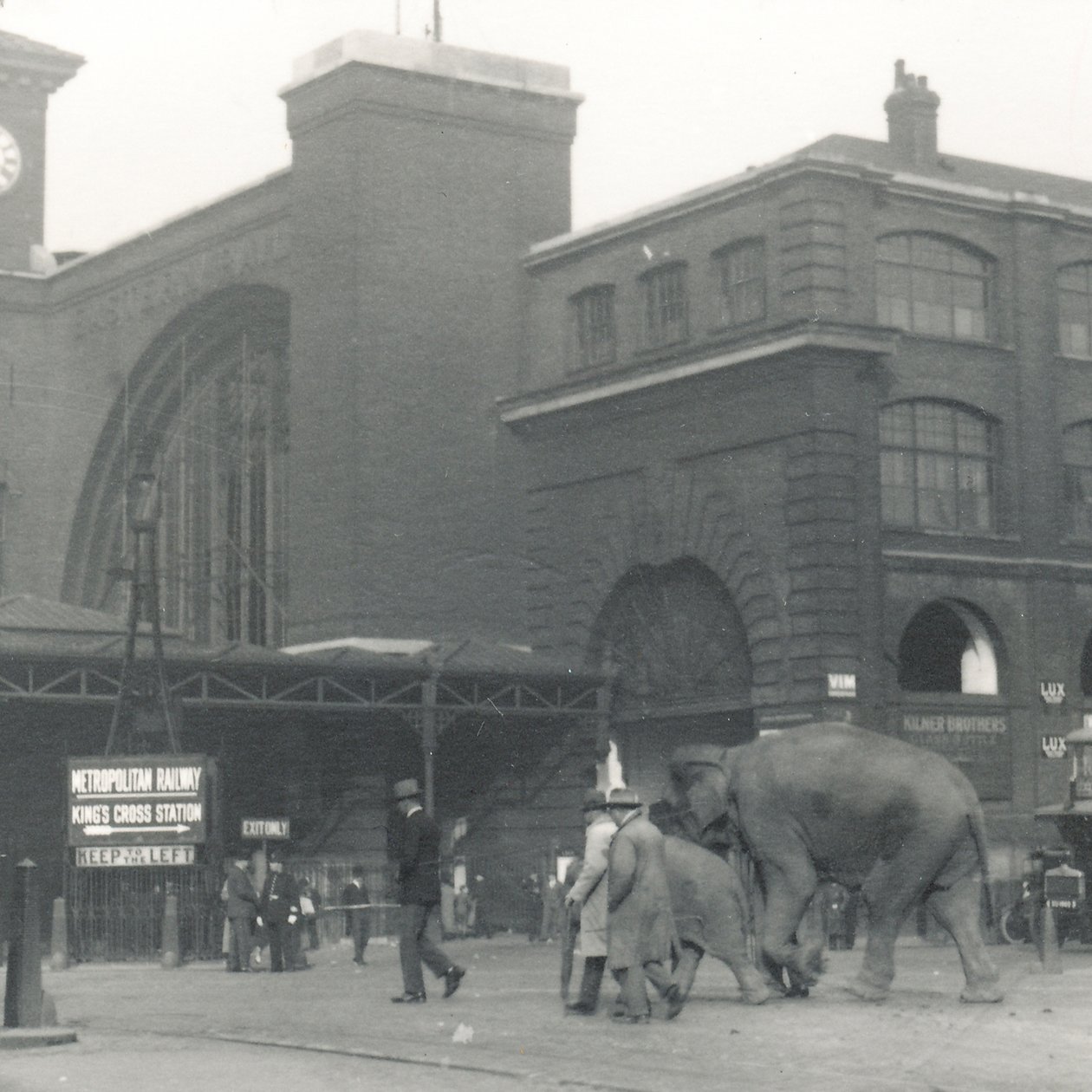 Elefanter som går fra bryggene forbi Kings Cross stasjon på vei til ZSL London Zoo, september 1927 av Frederick William Bond