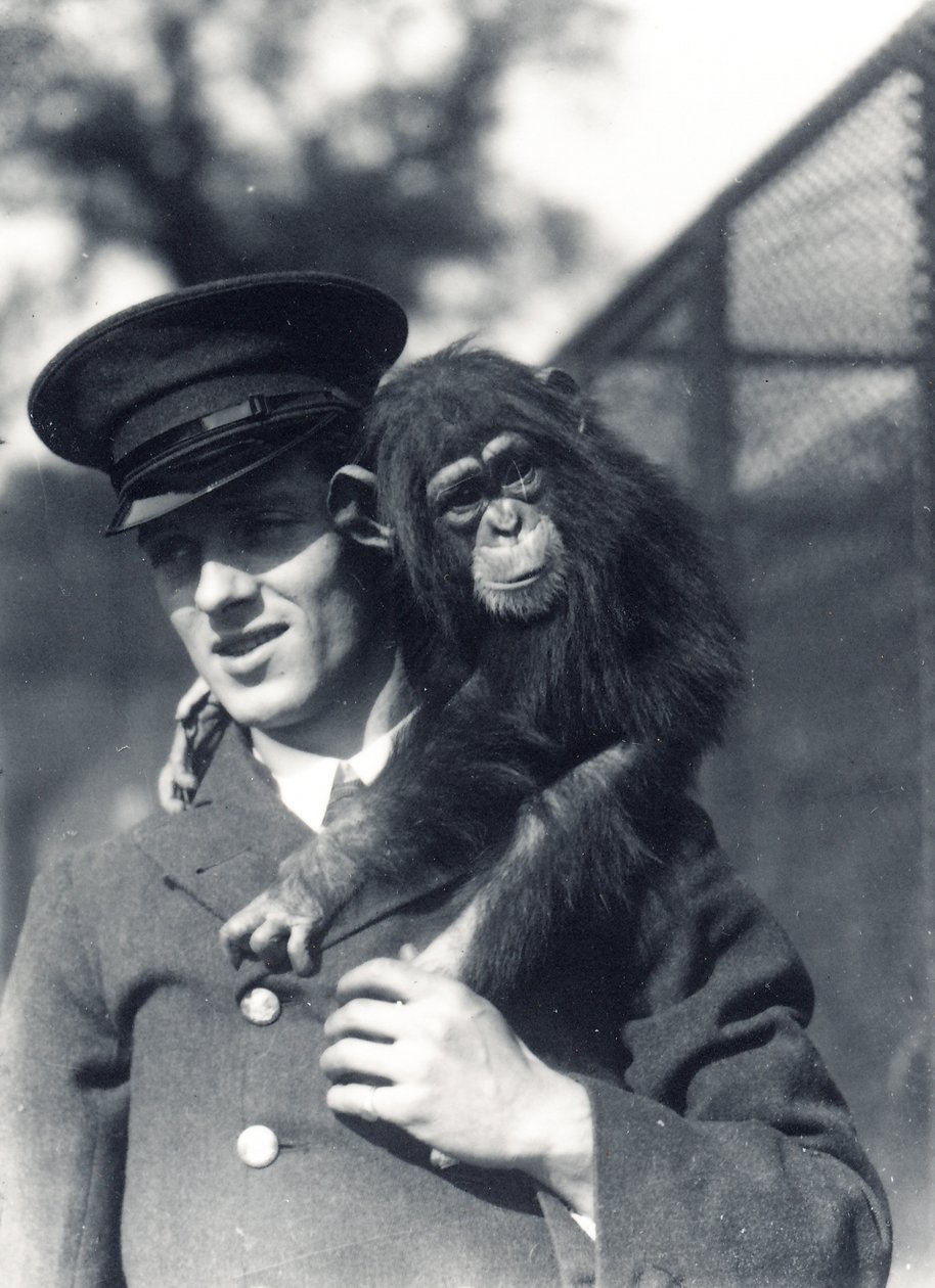 Keeper F. Shelly med sjimpansen Johnnie eller Marco i ZSL London Zoo av Frederick William Bond
