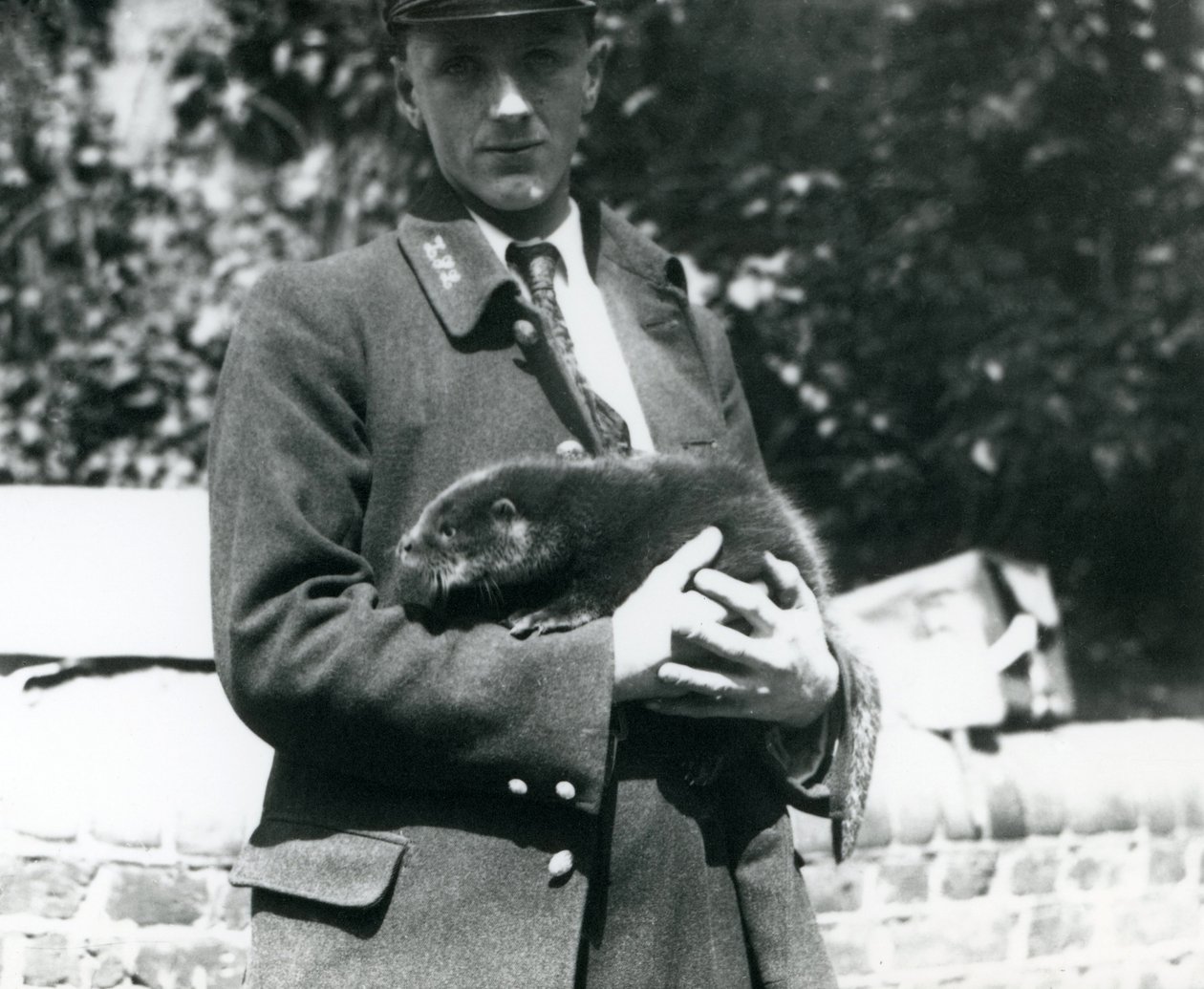 Keeper Leslie Martin Flewin vugger en otervalp i armene i London Zoo, juni 1922 av Frederick William Bond