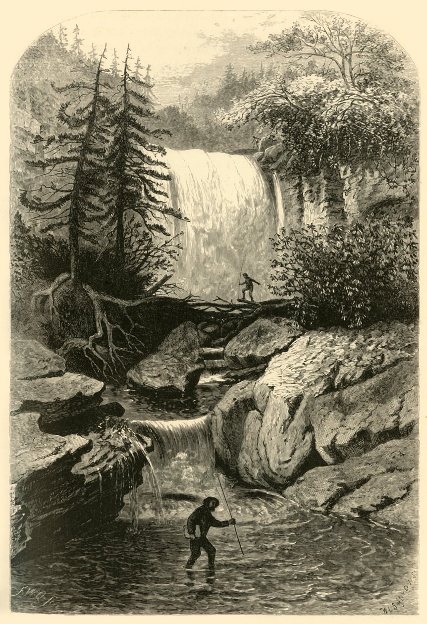 'Falls of the Blackwater', 1872. av Frederick William Quartley