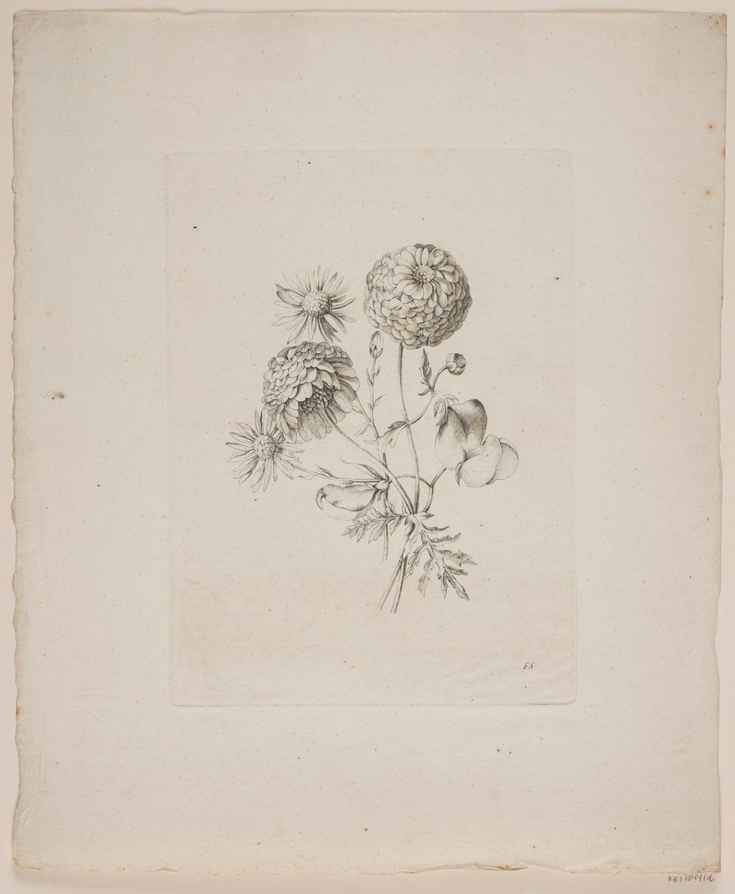 Blomstermotiv av Frederik Schepelern