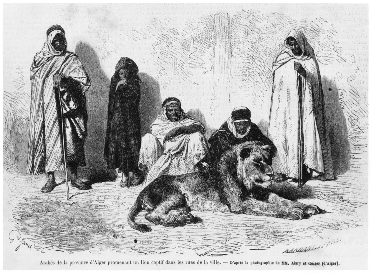 Gruppe av arabiske menn fra provinsen Alger, som går rundt med en fanget løve i gatene i byen, fra Le Monde Illustre, januar 1864 av French Photographer