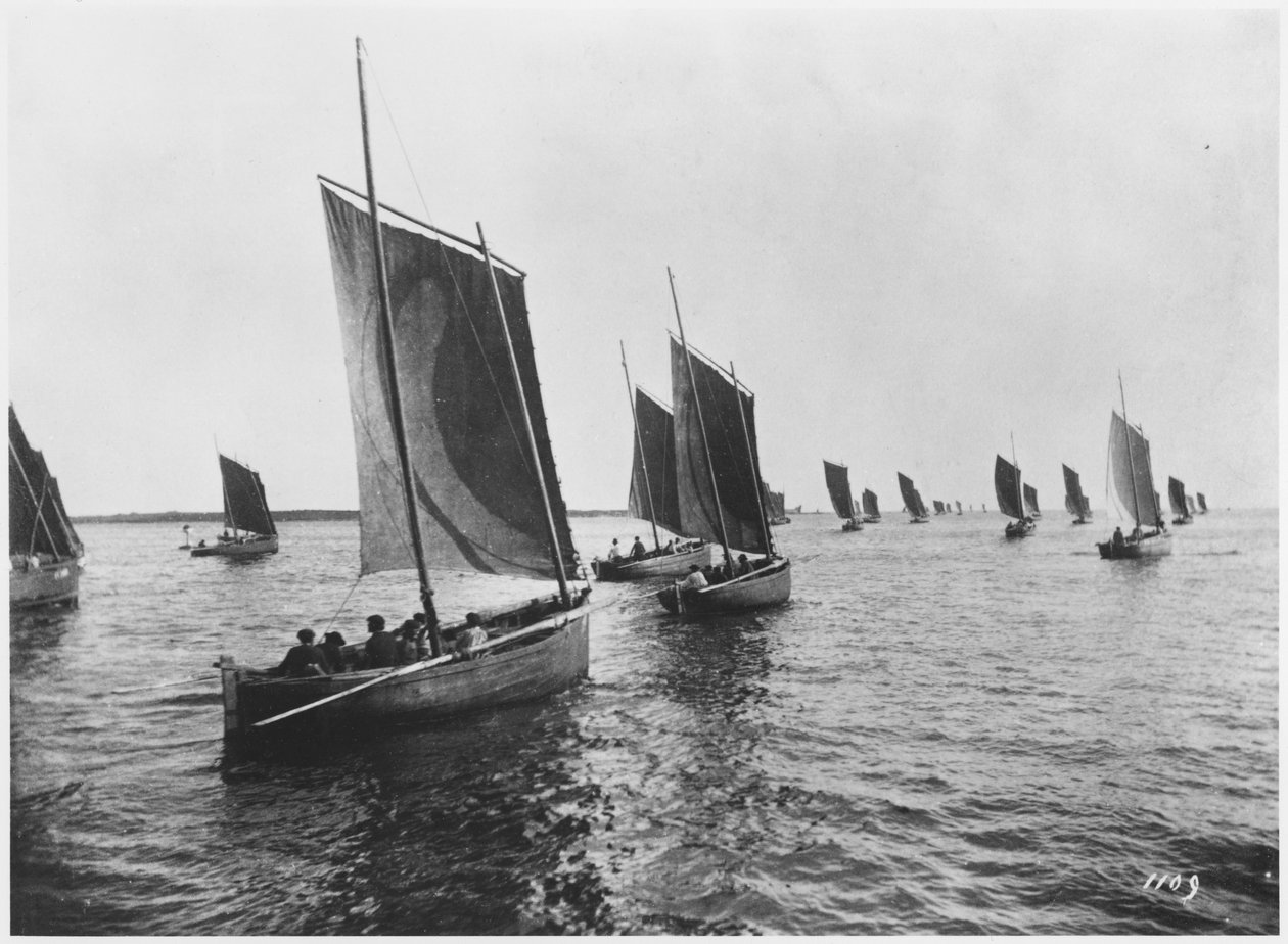 Sardinbåter fra Concarneau av French Photographer