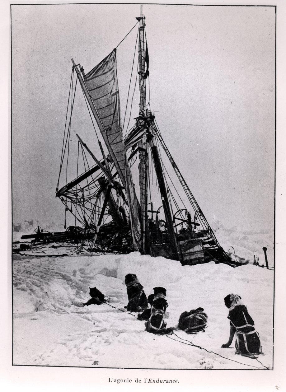 The Agony of The Endurance, fra ekspedisjon til Sydpolen av Ernest Shackleton (1874-1922) 1914-1917 av French Photographer
