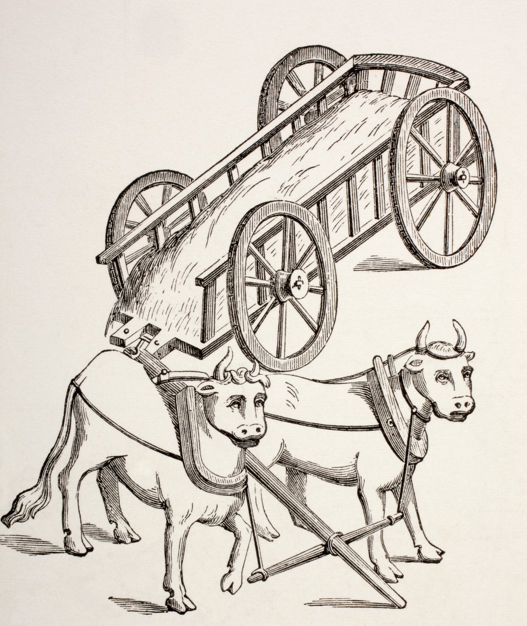 1400-tallsvogn trukket av okser, fra 