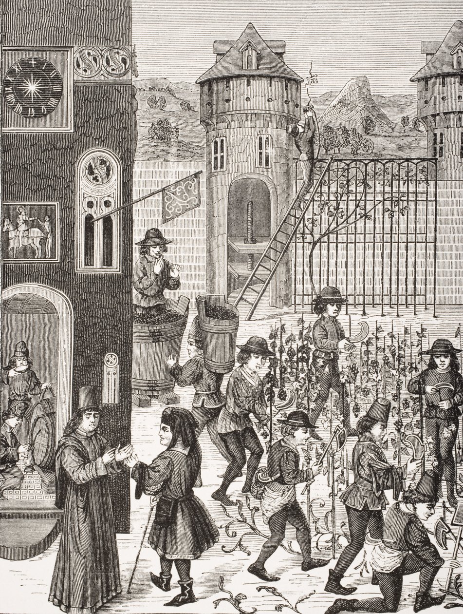Kultivering av frukt, etter en miniatyr i et manuskript fra 1400-tallet, fra 
