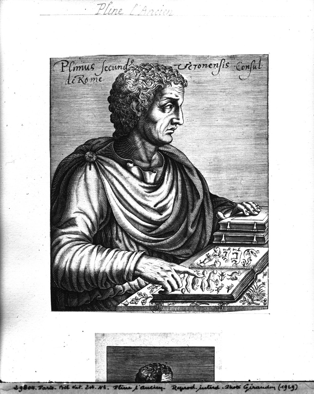 Plinius den eldste (23–79 e.Kr.) av French School