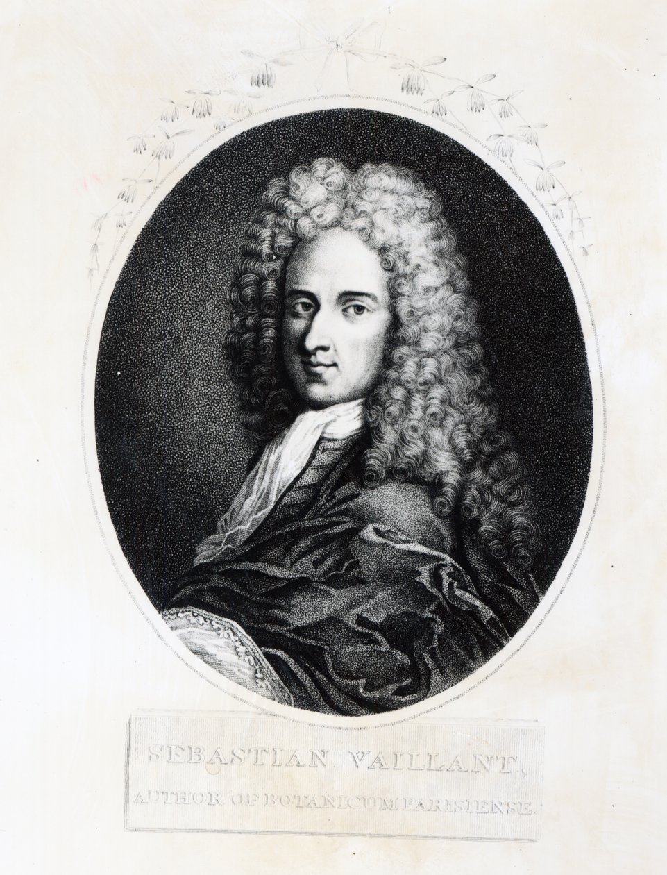 Sebastien Vaillant av French School