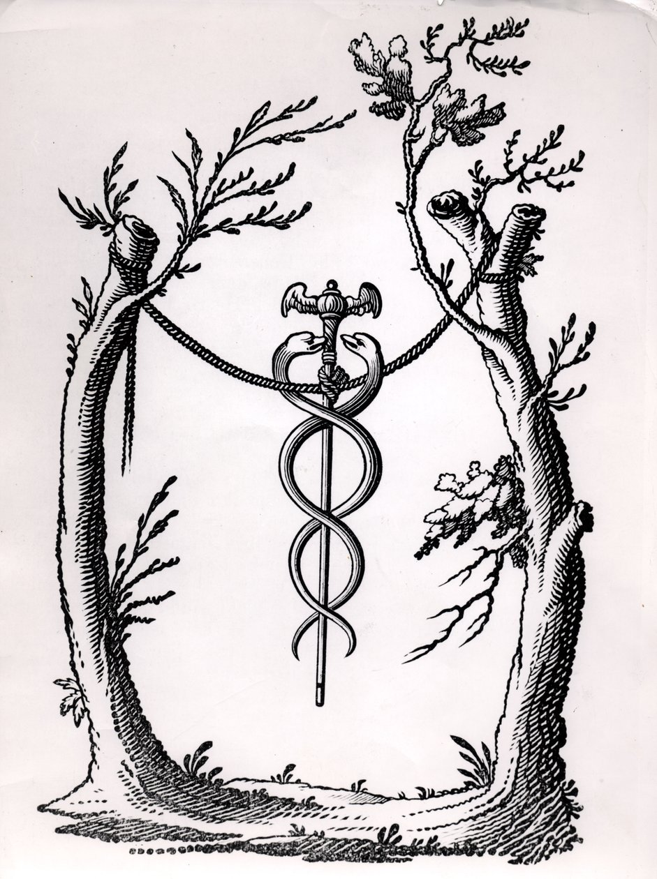 I Caduceus av French School