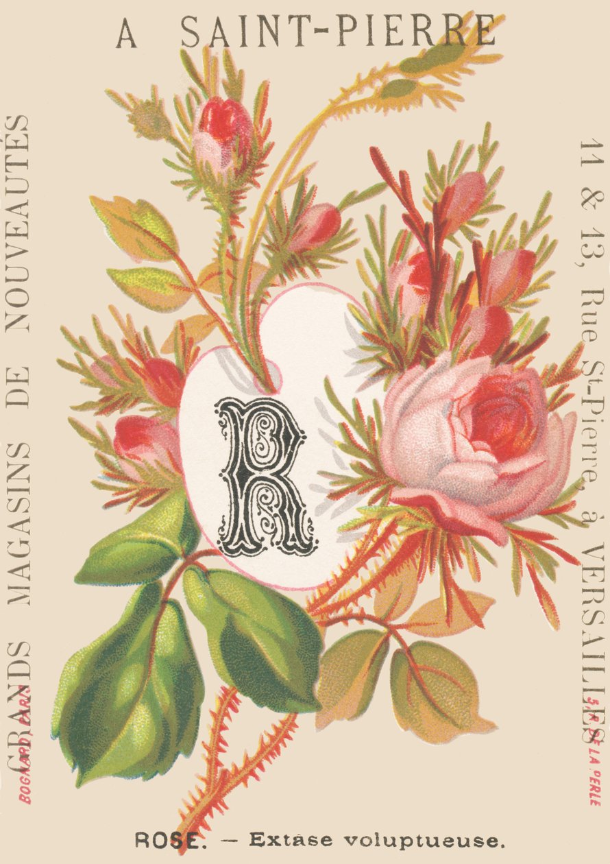 A: Rosa - Voluptuous ekstase av French School