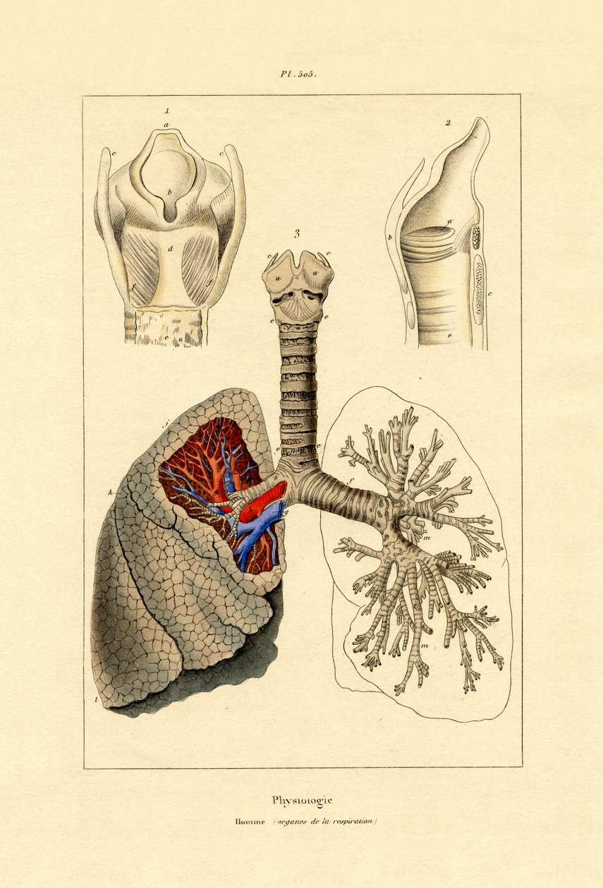 Pust, 1833-39 av French School