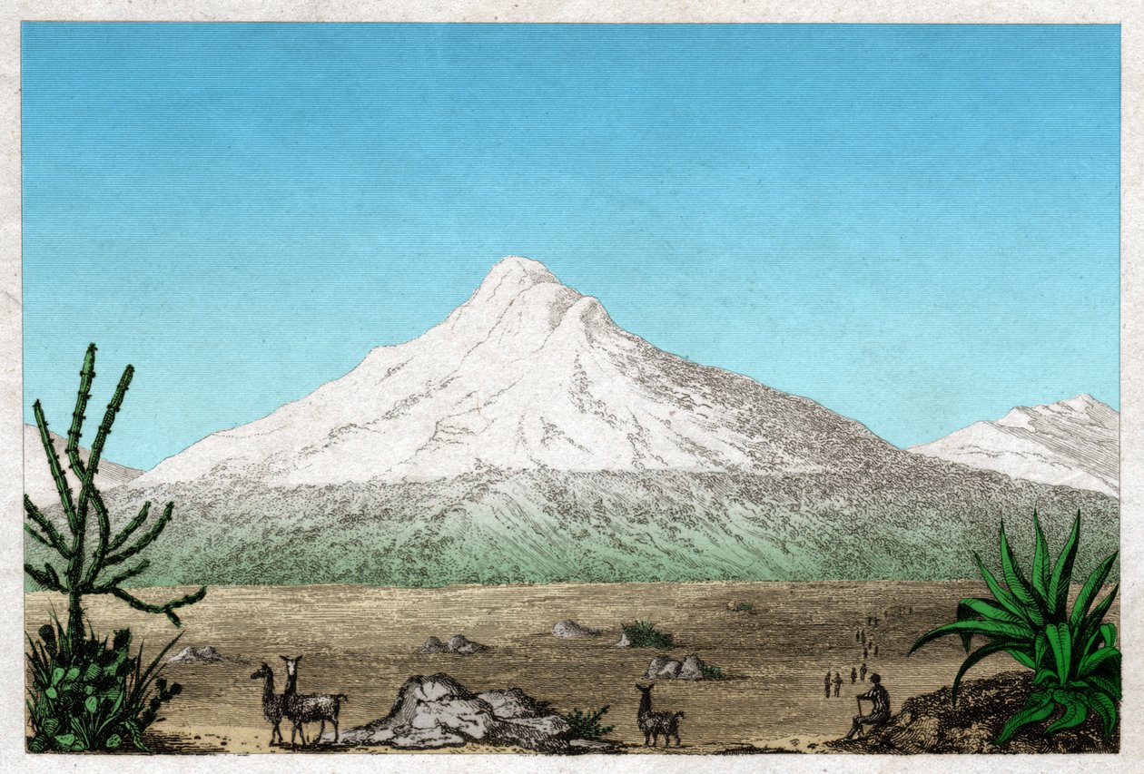 Chimborazo vulkan. (gravering, ca. 1840) av French School