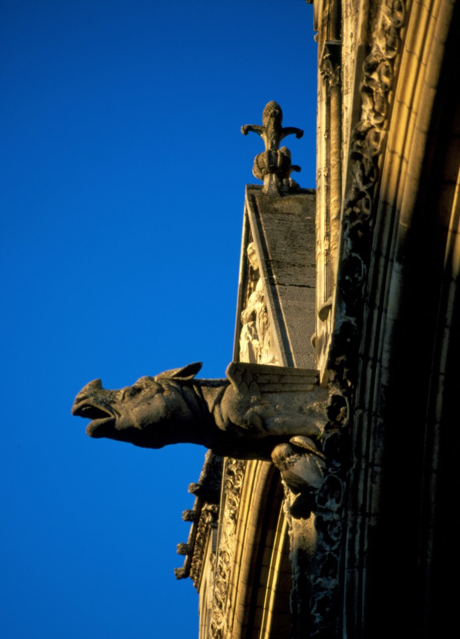 Gargoyle of Laon-katedralen i Aisne (02) av French School