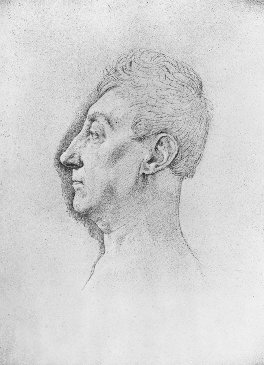 General de Lafayette (bilde) av French School