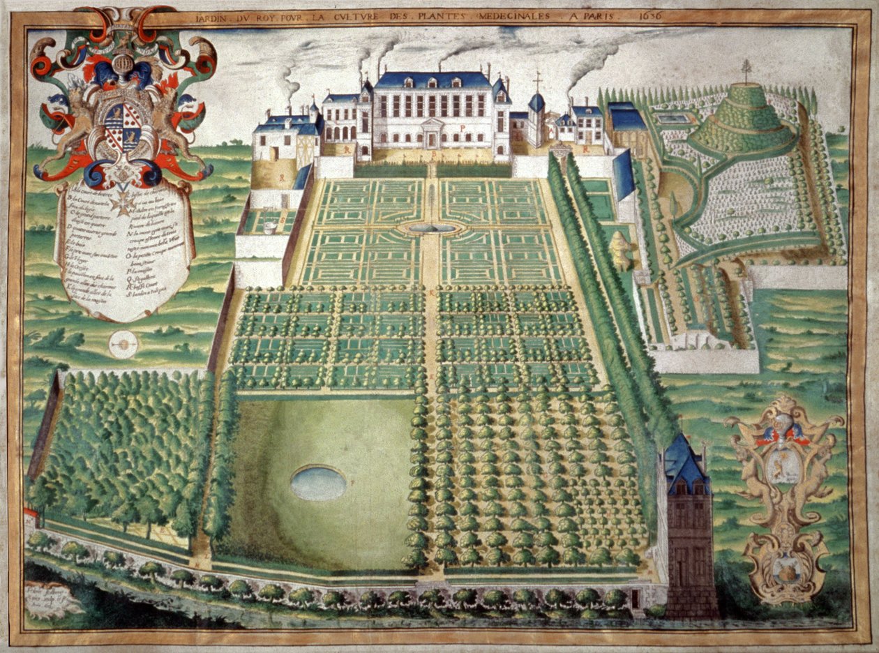 Jardin des Plantes, Paris. 1636 (akvarell) av French School