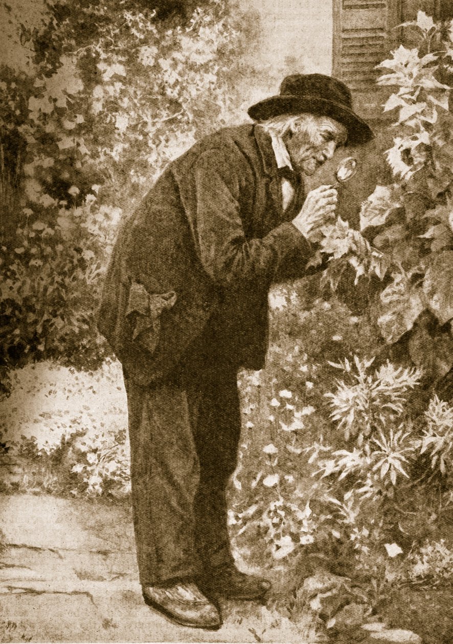 Jean-Henri Fabre observerer insekter av French School