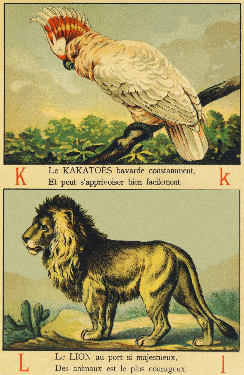 K som Kakatoes og L som løve av French School