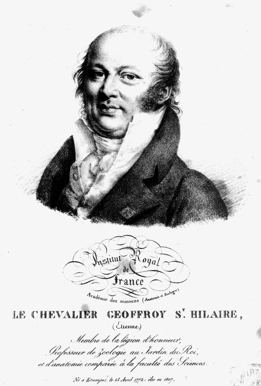 Portrett av Etienne Geoffroy Saint-Hilaire (1722-1844) av French School