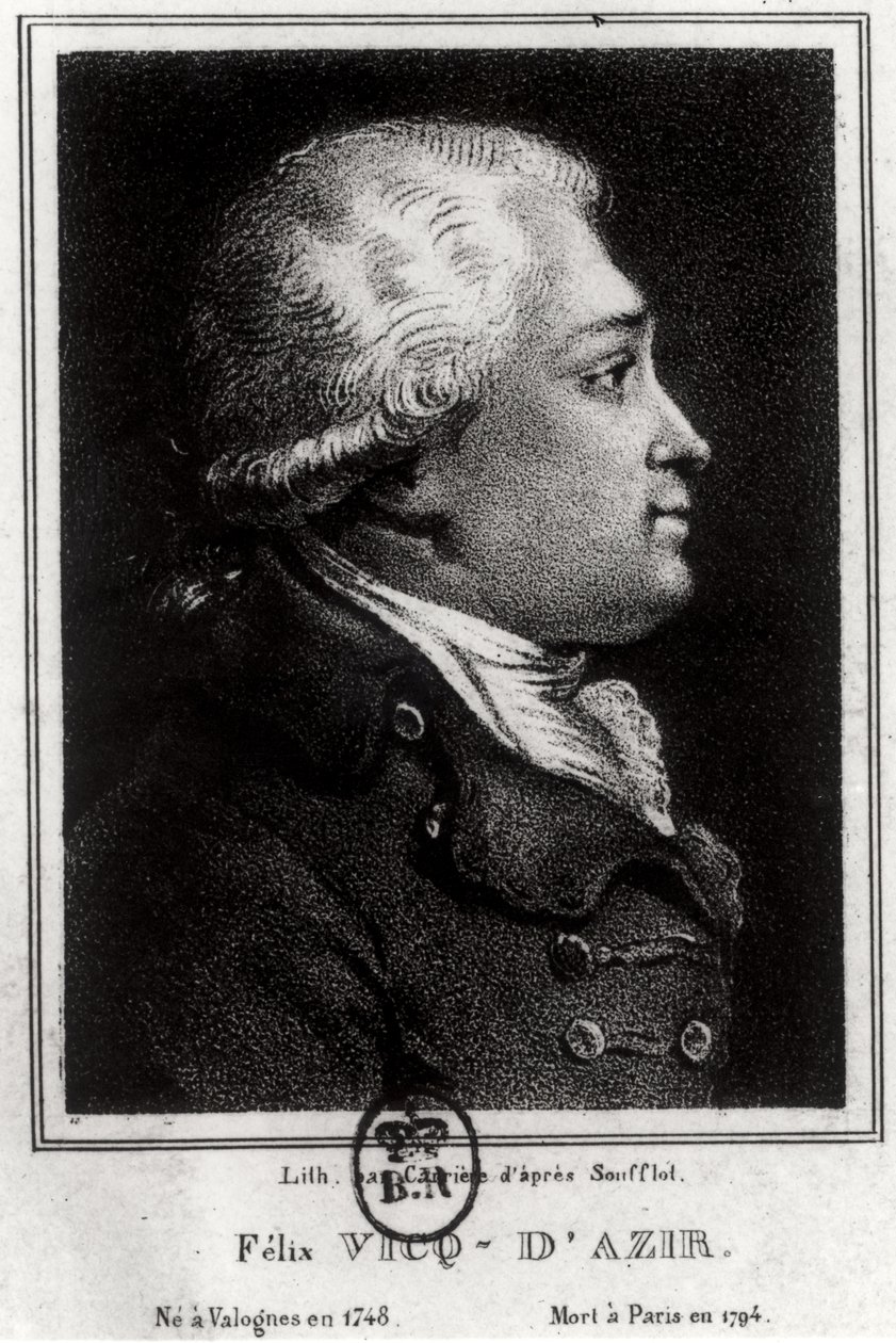 Portrett av Felix Vicq dAzyr (1748-94) av French School