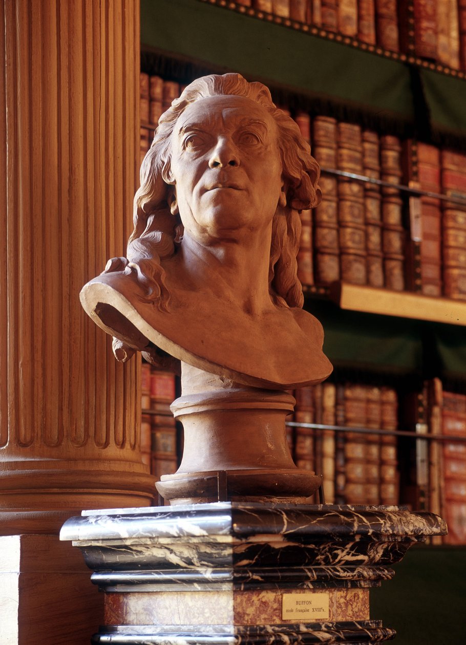 Statue av Buffon, Mazarine Library. av French School