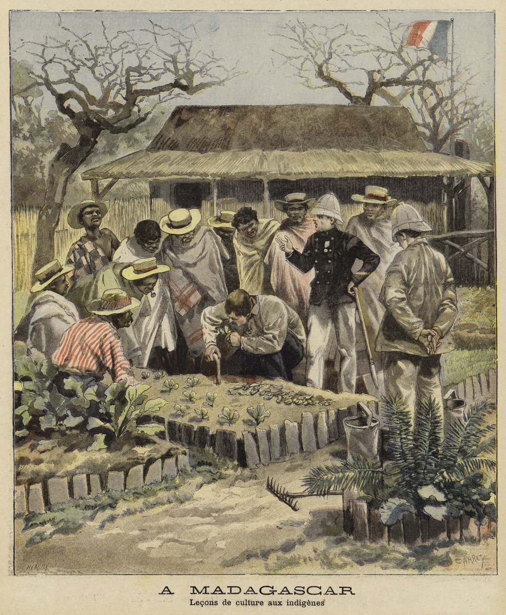 Lære innfødte jordbruksteknikker, Madagaskar, 1897 av French School