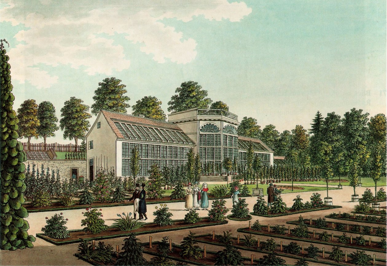 Drivhus i den gamle botaniske hagen i Göttingen, i bakgrunnen bymuren. Farget etsing av Friedrich Besemann