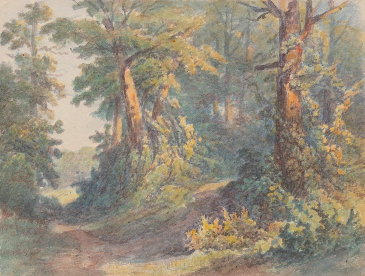 Skoglandskap av Friedrich Carl von Scheidlin