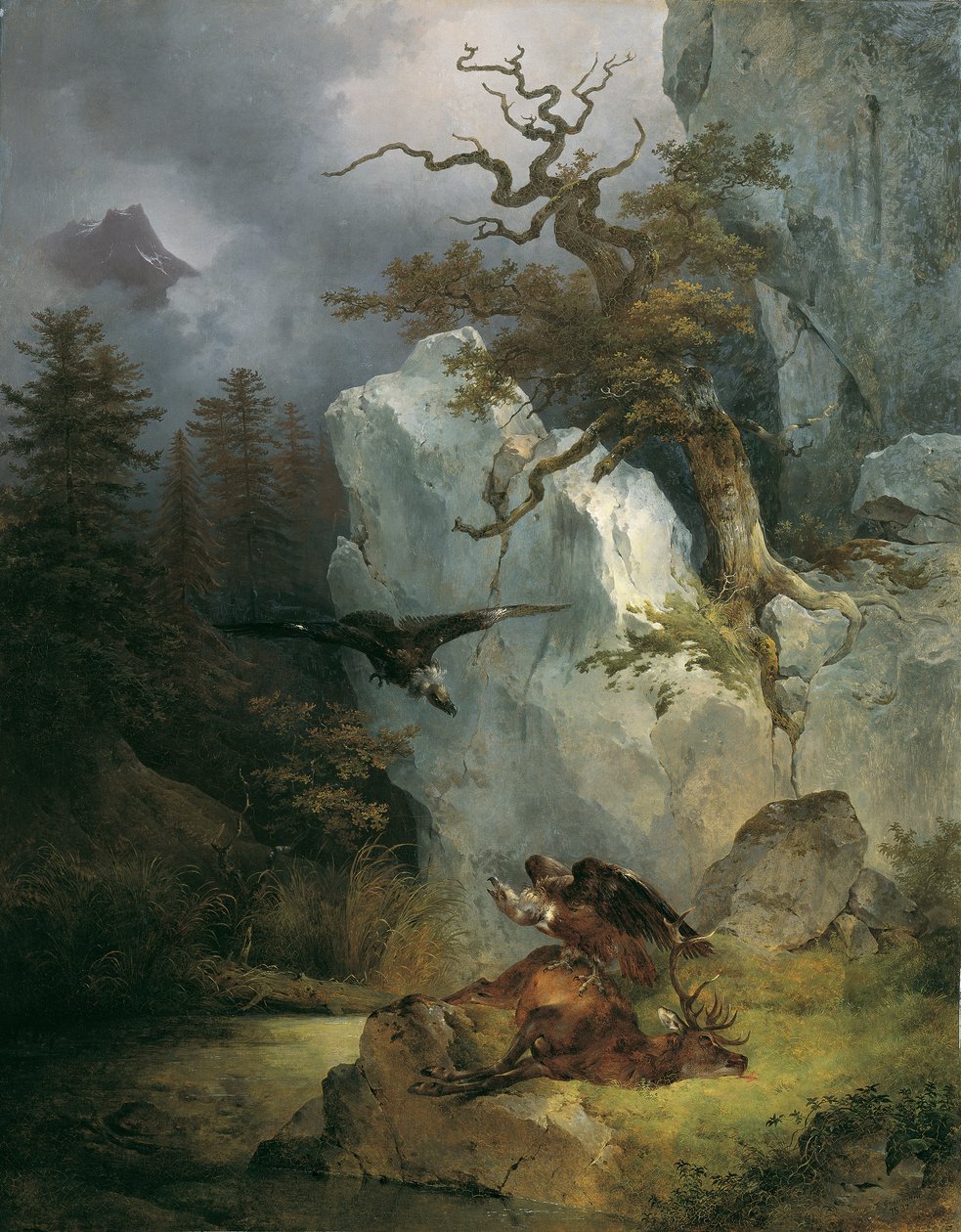 En gribb på en død hjort av Friedrich August Mathias Gauermann