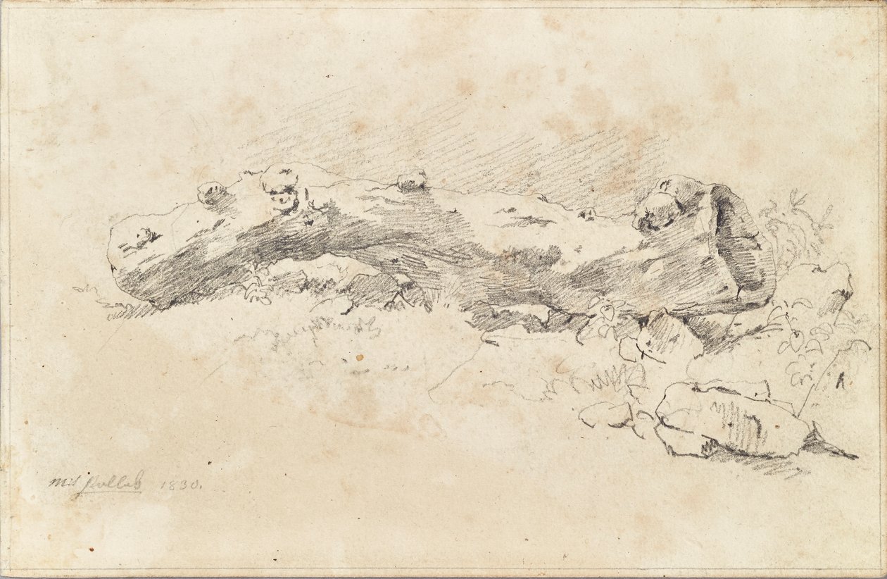 Liggende hul trestamme av Friedrich August Mathias Gauermann