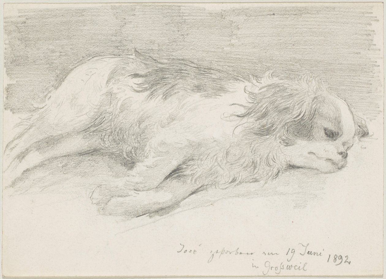 hundestudier av Friedrich August von Kaulbach