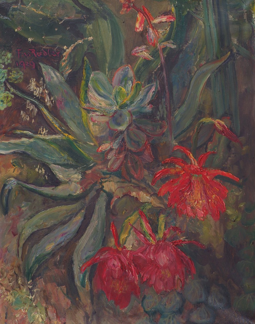 Blomstrende kaktuser av Friedrich Radler