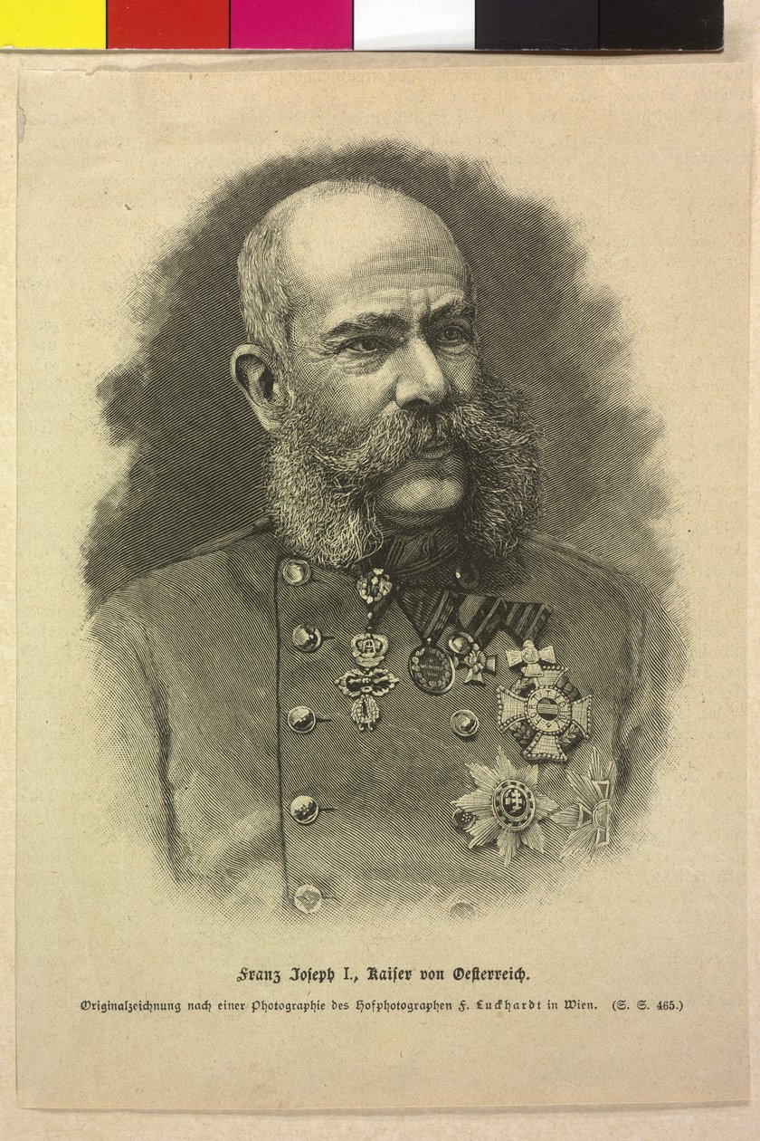  av Fritz Luckhardt