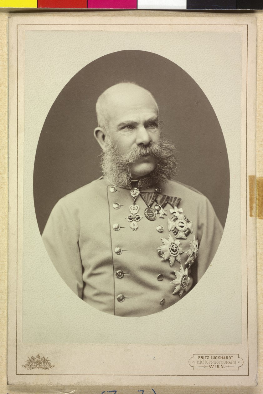  av Fritz Luckhardt